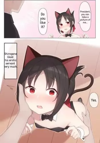 Nekomimi no Kaguya-sama